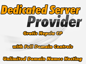 Bargain dedicated server hosting service